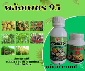 พลังเพชร 95